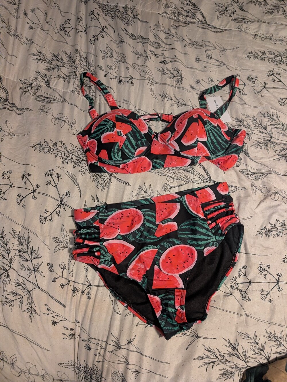 Watermelon Print High-Waist Bikini Set - Black & Red